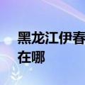 黑龙江伊春可提供SKG微波炉维修服务地址在哪