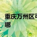 重庆万州区可提供博世微波炉维修服务地址在哪