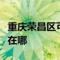 重庆荣昌区可提供每时乐微波炉维修服务地址在哪