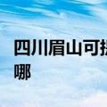 四川眉山可提供华帝抽油烟机维修服务地址在哪