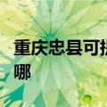 重庆忠县可提供林内抽油烟机维修服务地址在哪