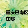 重庆巴南区可提供SKG微波炉维修服务地址在哪