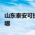 山东泰安可提供华帝抽油烟机维修服务地址在哪