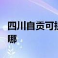 四川自贡可提供红牌抽油烟机维修服务地址在哪