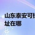 山东泰安可提供阿里斯顿抽油烟机维修服务地址在哪