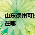 山东德州可提供好太太抽油烟机维修服务地址在哪