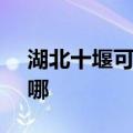 湖北十堰可提供SKG电磁炉维修服务地址在哪