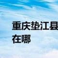 重庆垫江县可提供SKG电磁炉维修服务地址在哪