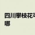 四川攀枝花可提供方太消毒柜维修服务地址在哪