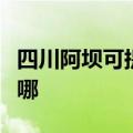 四川阿坝可提供格兰仕电磁炉维修服务地址在哪