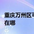 重庆万州区可提供飞利浦电磁炉维修服务地址在哪