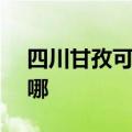 四川甘孜可提供SKG电磁炉维修服务地址在哪