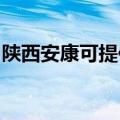 陕西安康可提供海尔消毒柜维修服务地址在哪