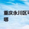 重庆永川区可提供东菱电磁炉维修服务地址在哪