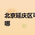 北京延庆区可提供康佳电饭煲维修服务地址在哪