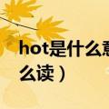 hot是什么意思英文单词（hot是什么意思怎么读）