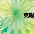 克隆人的进攻（克隆资料）