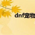 dnf宠物名字大全（dnf宠物名字）