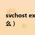 svchost exe是什么进程（svchost exe是什么）