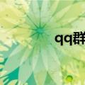 qq群标签大全（qq群标签）