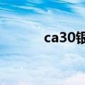 ca30银壳电容图片（CA3445）