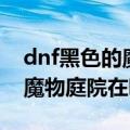 dnf黑色的魔物庭院什么时间打（dnf黑色的魔物庭院在哪里）