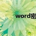 word密码忘记（word密码破解）