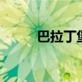 巴拉丁堡（关于巴拉丁堡的介绍）