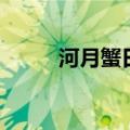 河月蟹日（关于河月蟹日的介绍）