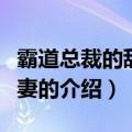 霸道总裁的甜心娇妻（关于霸道总裁的甜心娇妻的介绍）