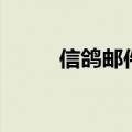 信鸽邮件（关于信鸽邮件的介绍）