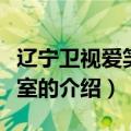 辽宁卫视爱笑会议室（关于辽宁卫视爱笑会议室的介绍）