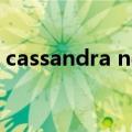 cassandra ng（关于cassandra ng的介绍）