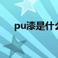 pu漆是什么（关于pu漆是什么的介绍）