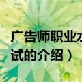 广告师职业水平考试（关于广告师职业水平考试的介绍）