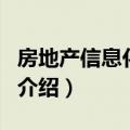 房地产信息化建设（关于房地产信息化建设的介绍）