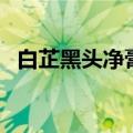 白芷黑头净膏（关于白芷黑头净膏的介绍）