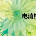 电消检（关于电消检的介绍）