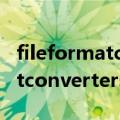 fileformatconverters exe（关于fileformatconverters exe的介绍）