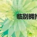 临别拥抱（关于临别拥抱的介绍）