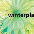 winterplay（关于winterplay的介绍）