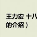 王力宏 十八般武艺（关于王力宏 十八般武艺的介绍）