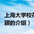 上海大学校花钟莉颖（关于上海大学校花钟莉颖的介绍）