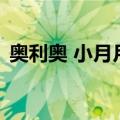 奥利奥 小月月（关于奥利奥 小月月的介绍）