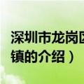 深圳市龙岗区布吉镇（关于深圳市龙岗区布吉镇的介绍）