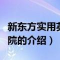 新东方实用英语学院（关于新东方实用英语学院的介绍）