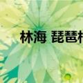 林海 琵琶相（关于林海 琵琶相的介绍）