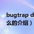 bugtrap dll是什么（关于bugtrap dll是什么的介绍）