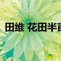 田维 花田半亩（关于田维 花田半亩的介绍）