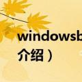 windowsblinds（关于windowsblinds的介绍）